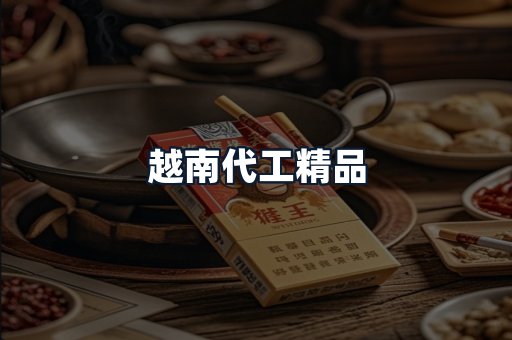 越南代工精品